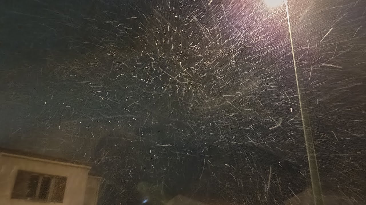 Forte averses de neige ❄️ du mercredi 7 janvier 2026 a Manosque 18h20 