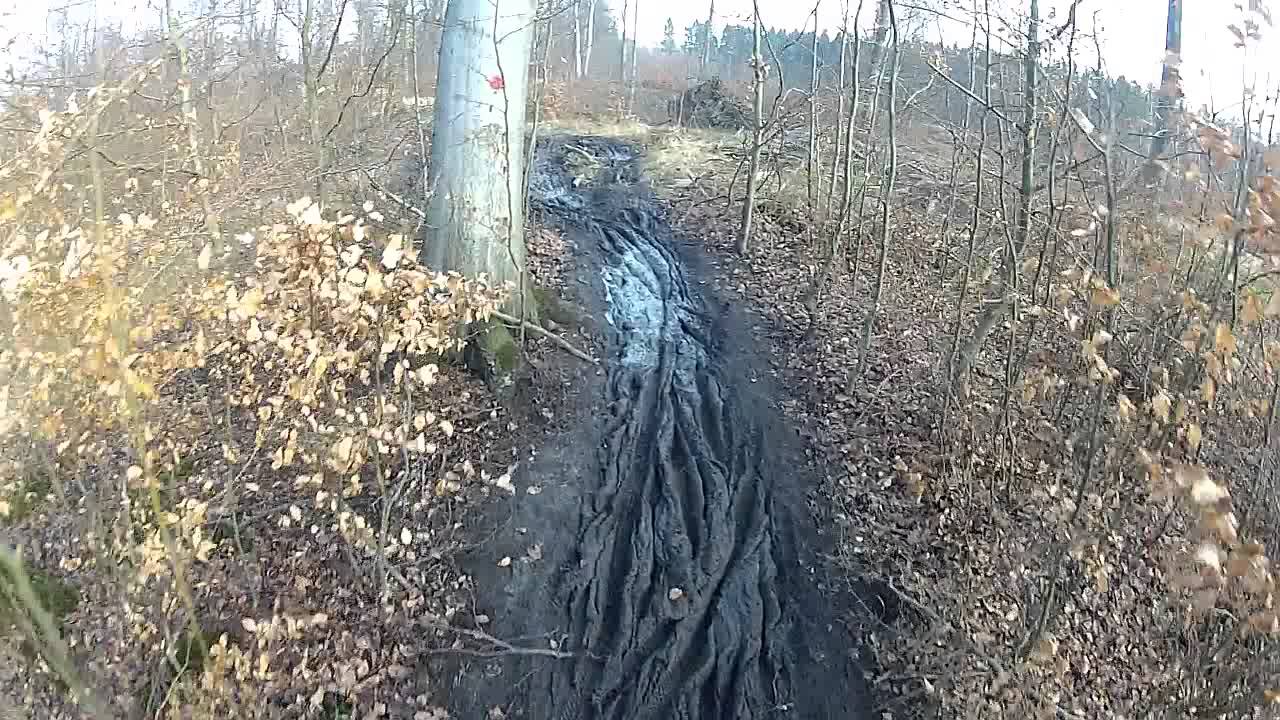 Det Røde MTB Spor i Hareskoven