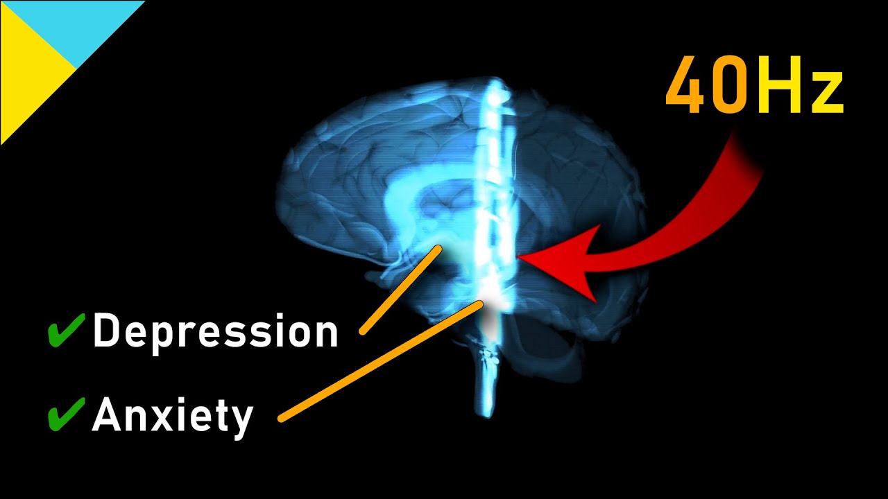 The 40Hz 