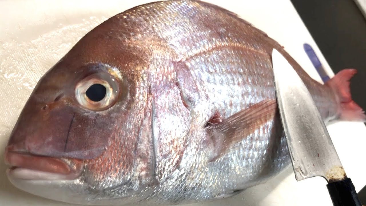 Красное море лещ сашими морепродукты - японская уличная еда