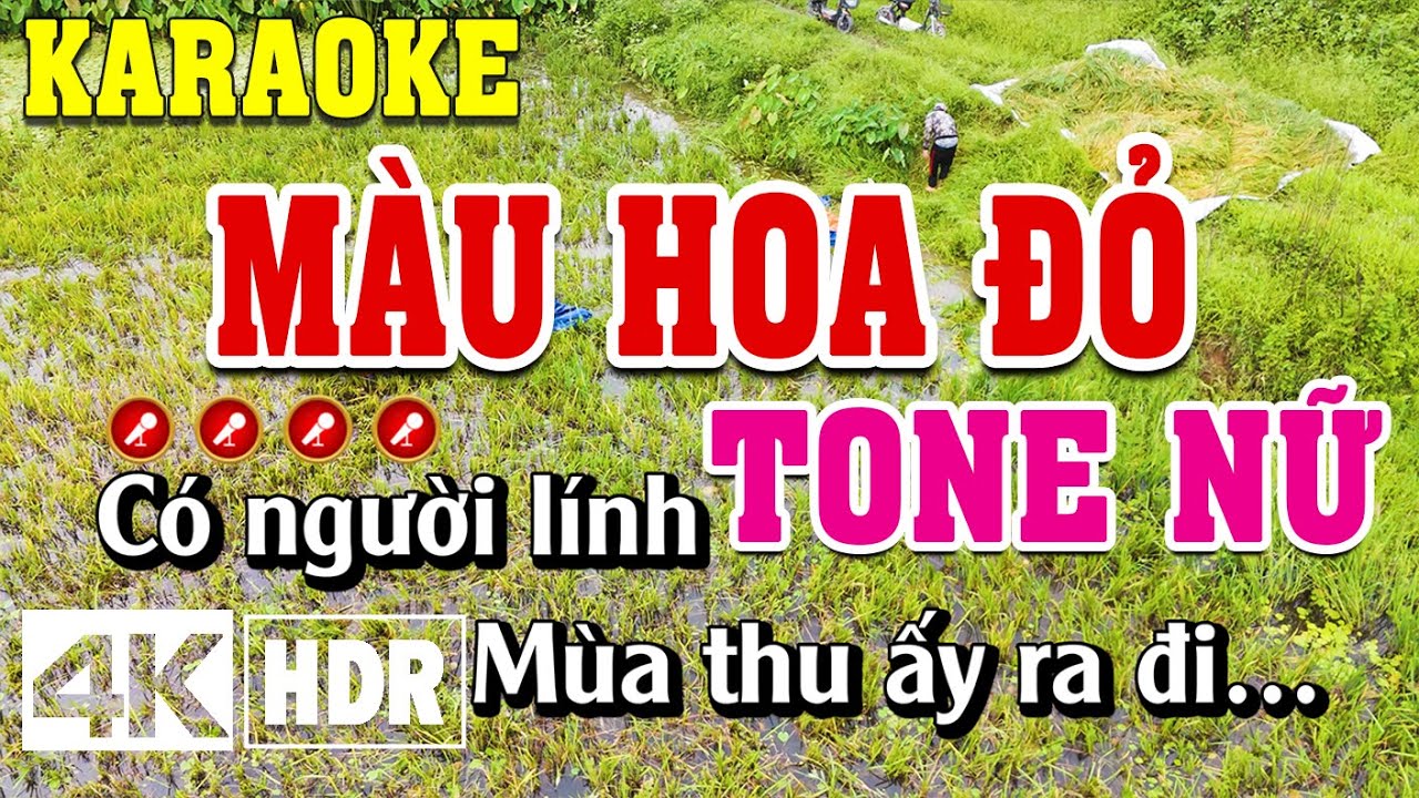Màu Hoa Đỏ Karaoke Tone Nữ Beat Chuẩn | Đình Long Karaoke