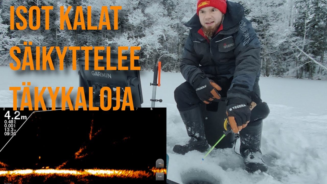 MUUTAMAT TÄKYT @kitunenbros. reissulle. LIVELUOTAIN NÄYTTÄÄ KALOJEN PAIKAN