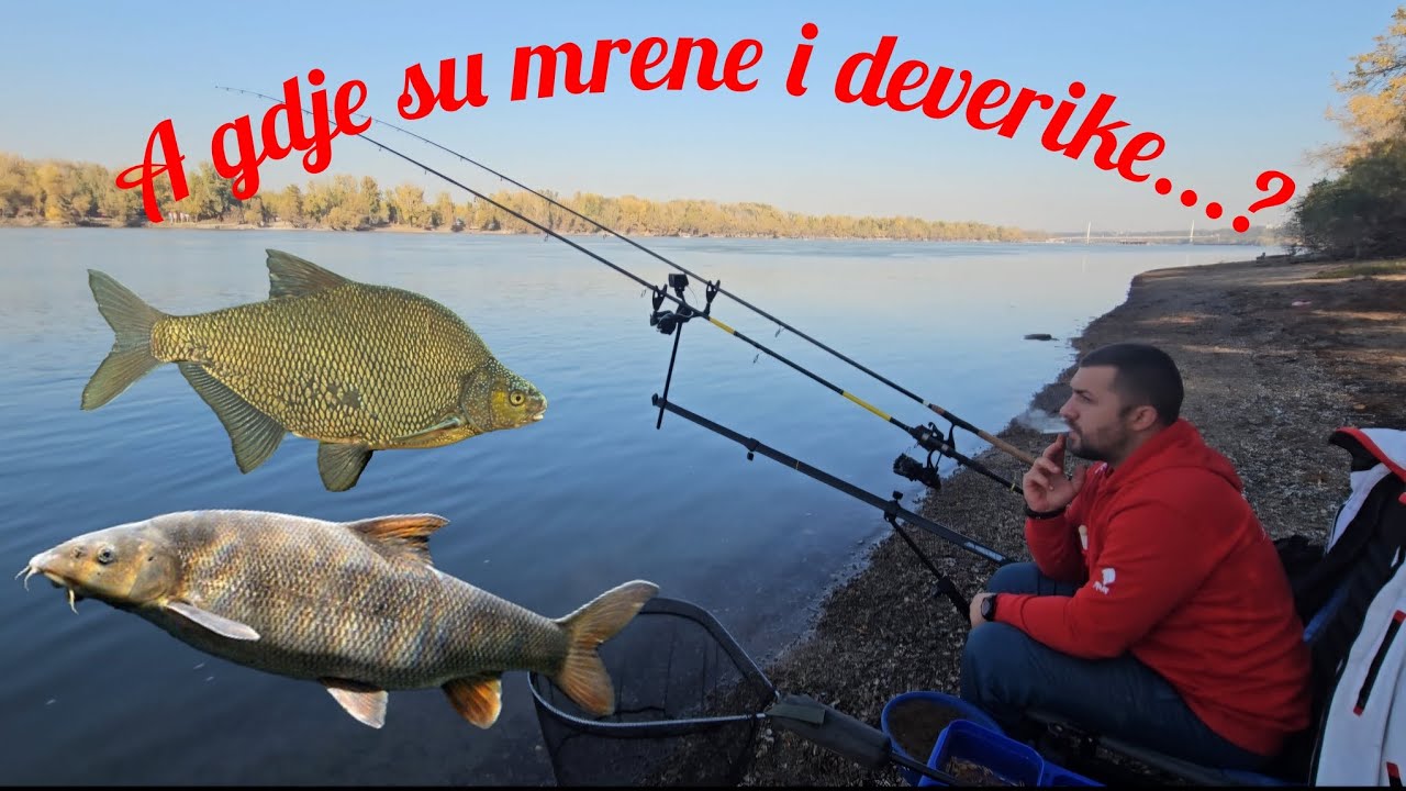 Feeder Ribolov na 💥DUNAVU💥 kod Novog Sada - Ribolov u HLADNOJ vodi 🥶 (4K VIDEO)