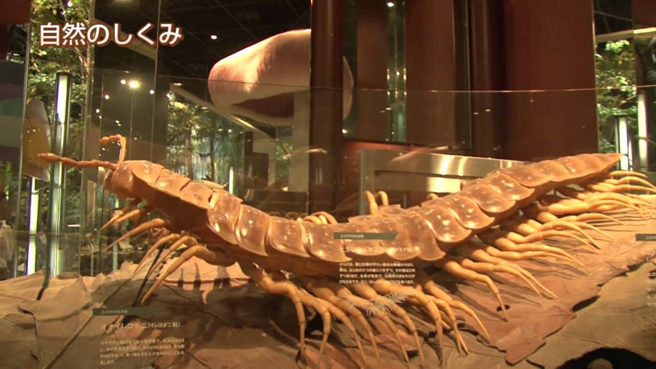 ミュージアムパーク茨城県自然博物館 （坂東市）　Ibaraki Nature Museum