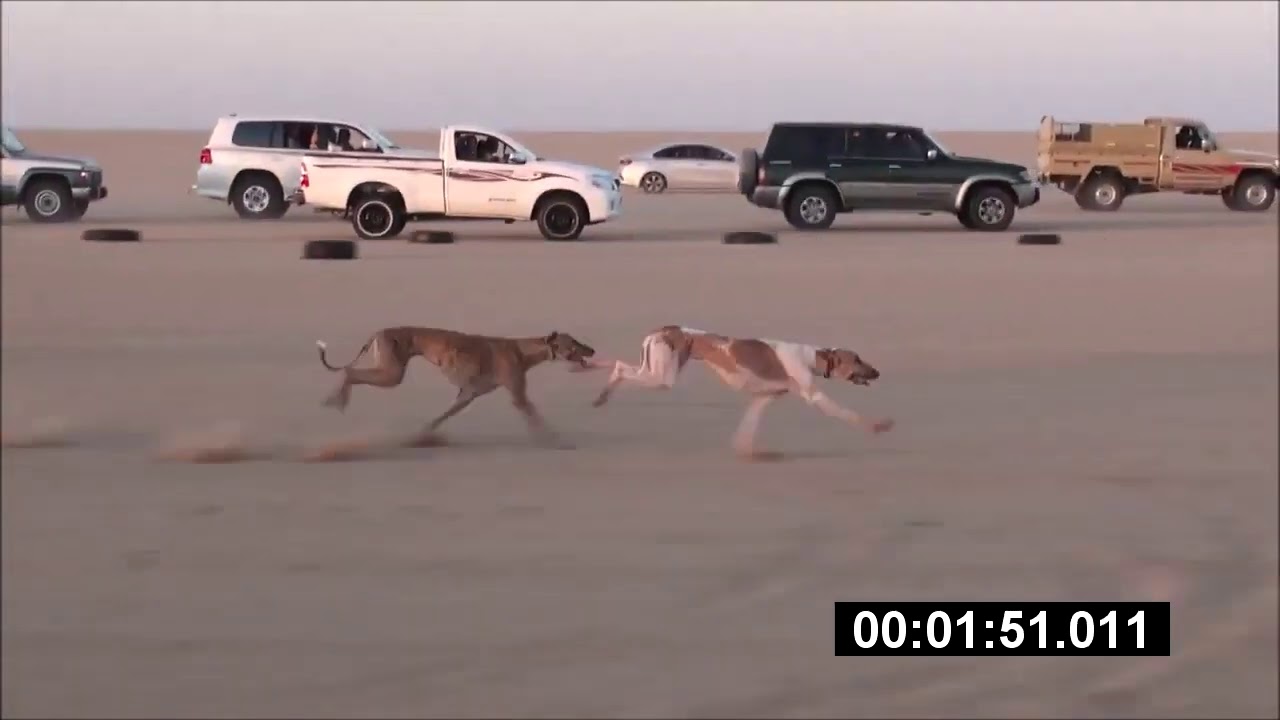 مهدات الحدبا 1442هـ