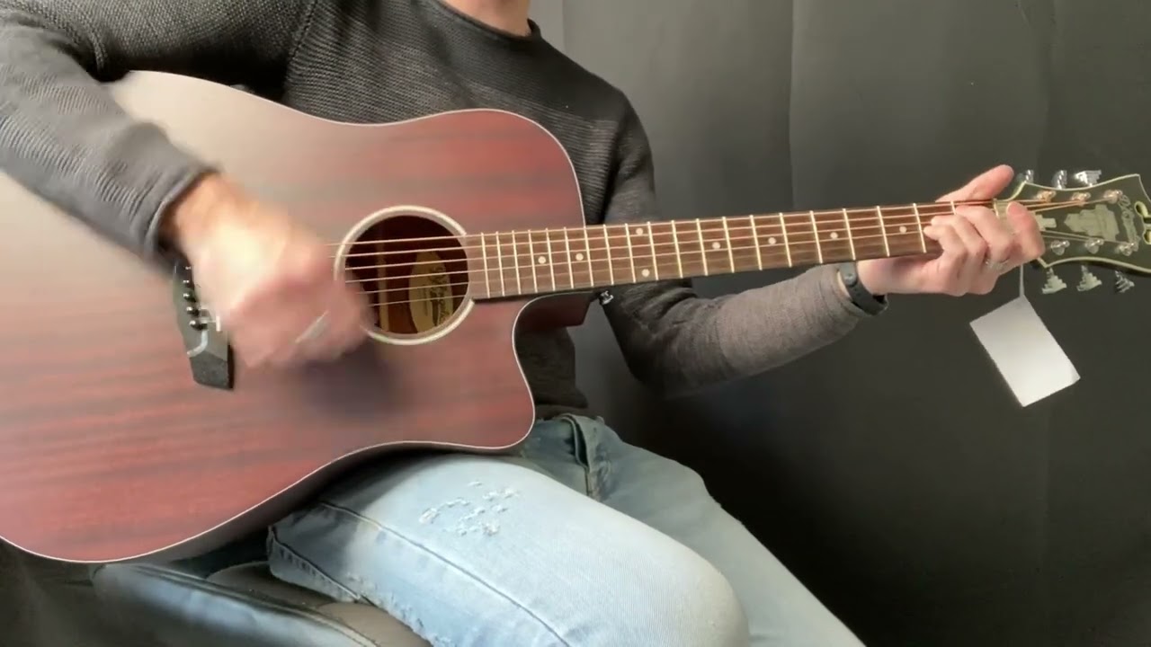 D'Angelico Premier Bowery LS Acoustic guitar