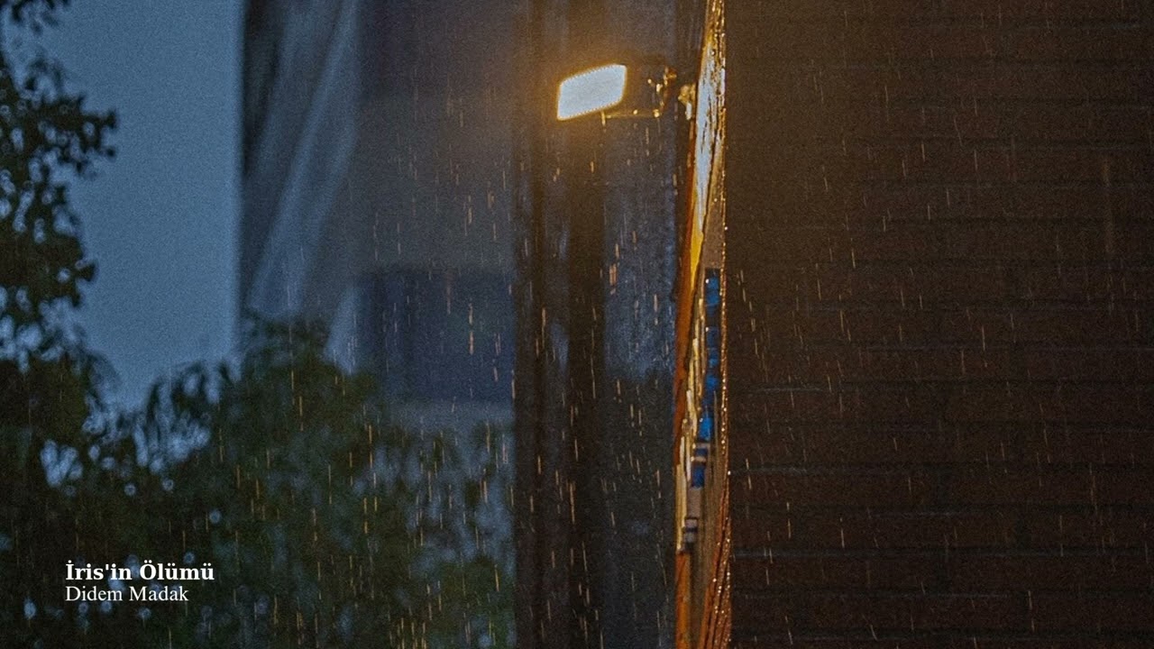 İris'in Ölümü - Didem Madak