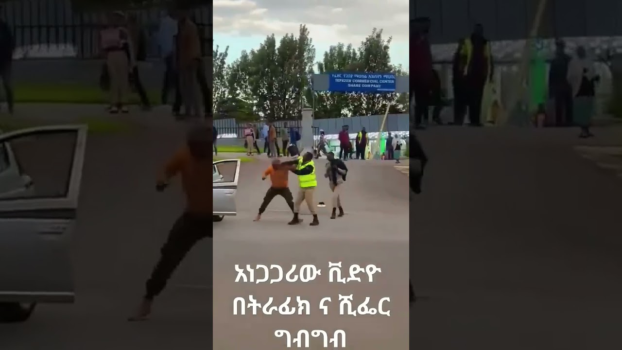አነጋጋሪው ድብድብ Street GTA 5 fighting Traffic police VS Ride driver 🏃🏽&zwj;♂️&zwj;➡️ #ethiopianmusic