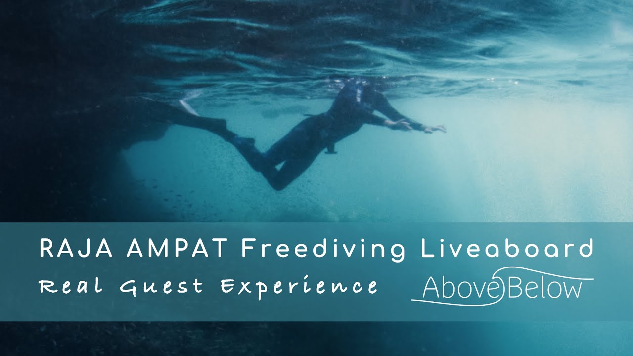 Дайвинг-сафари на борту судна Raja Ampat | Реальный опыт для гостей