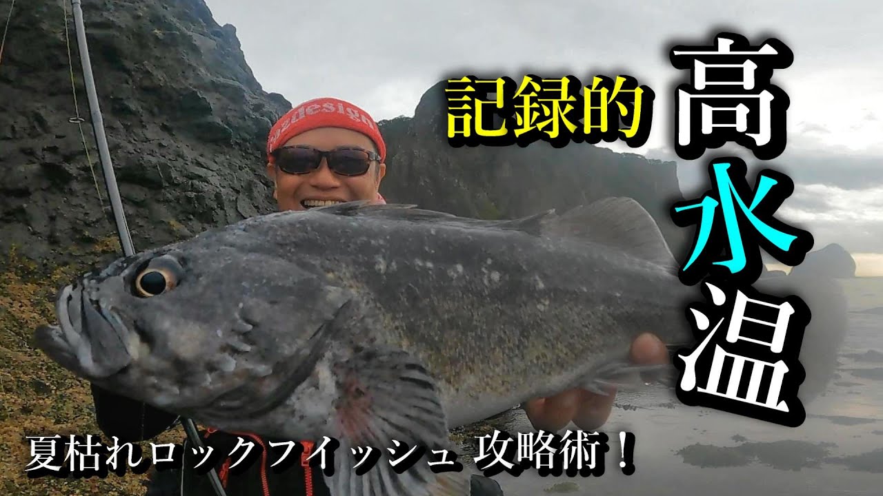 【ロックフイッシュ】夏枯れ高水温期攻略！