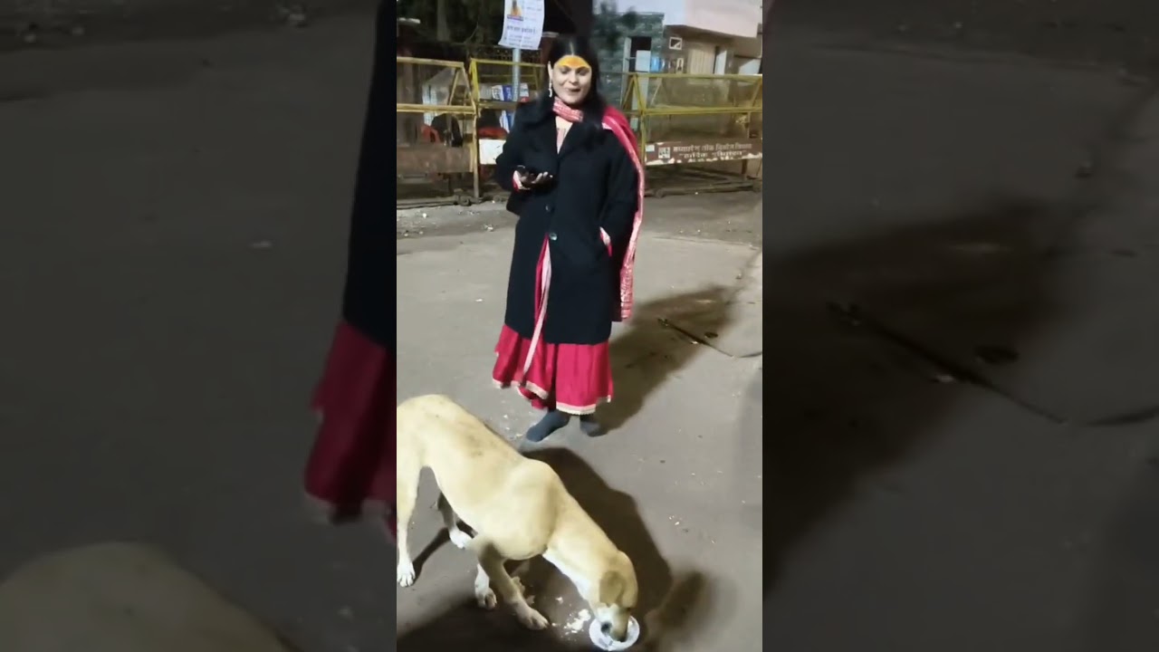 ## Doge Sewaye inko thoda sa pyre se khana khila do bus our inko kuch nahi chahiye Radhe Radhe 🐾🐕🐕🙏
