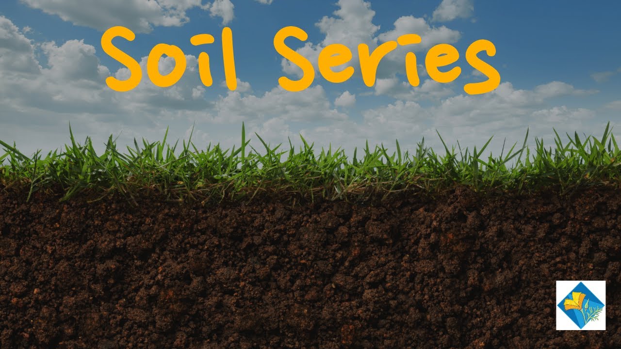 Soil Series: Soil Texture