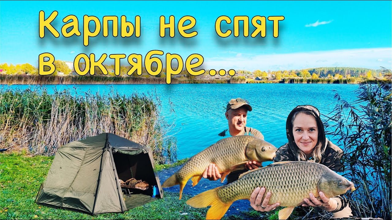 Карпы не спят в октябре... Рыбина приплыла на дубине и подводная съемка поневоле
