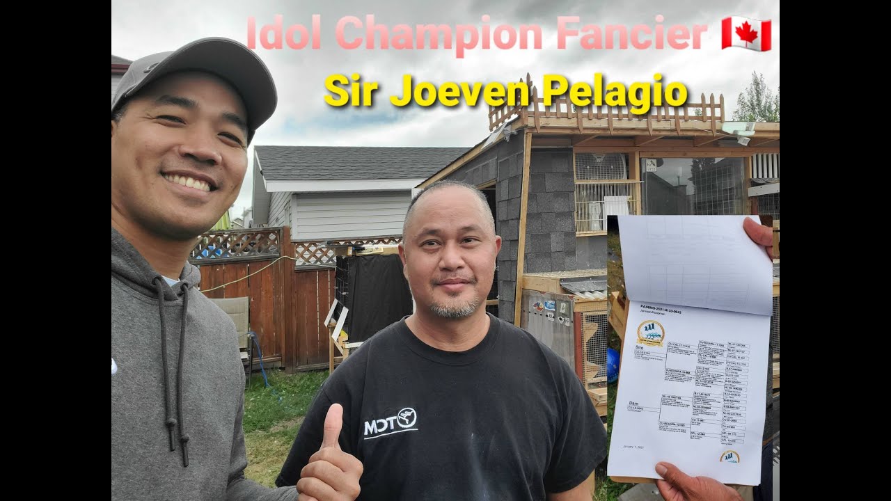 Idol Champion Fancier In Canada #Joeven Pelagio