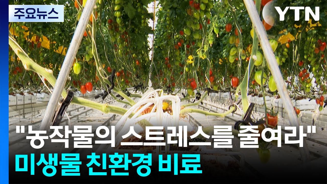 [新농비] 