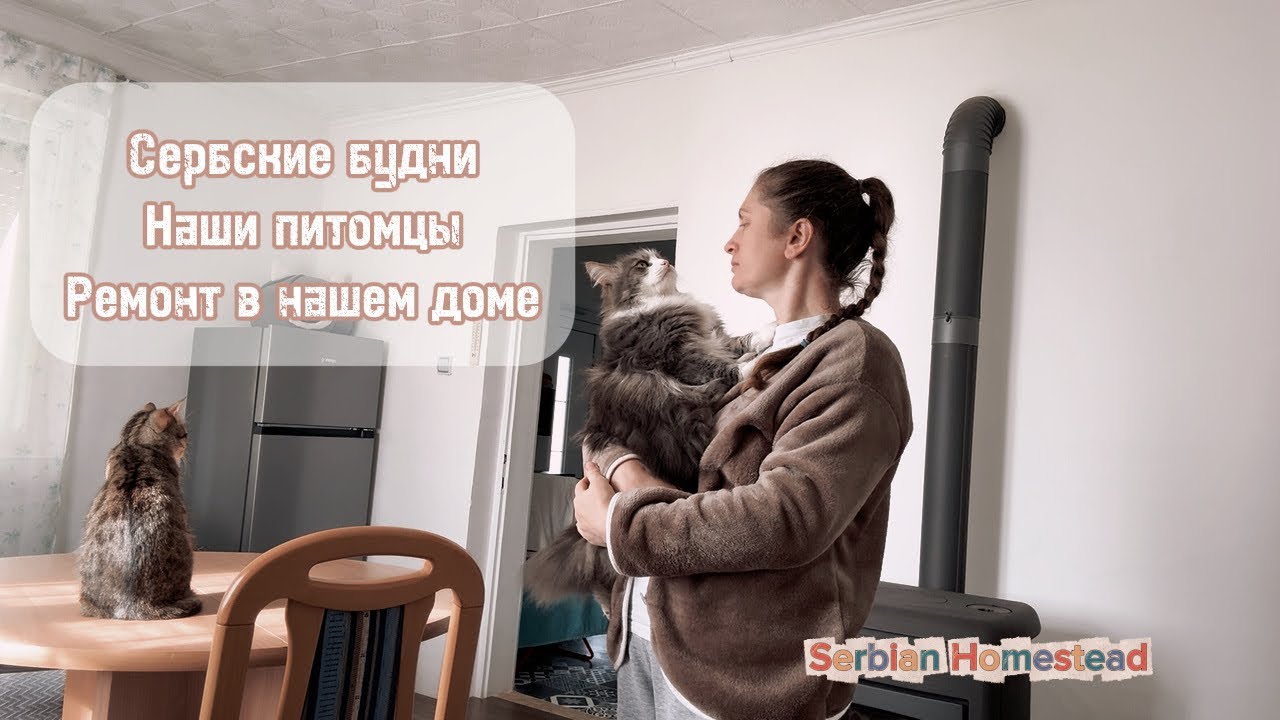 Сербские будни 🇷🇸 | Наши питомцы | Ремонт в сербском доме