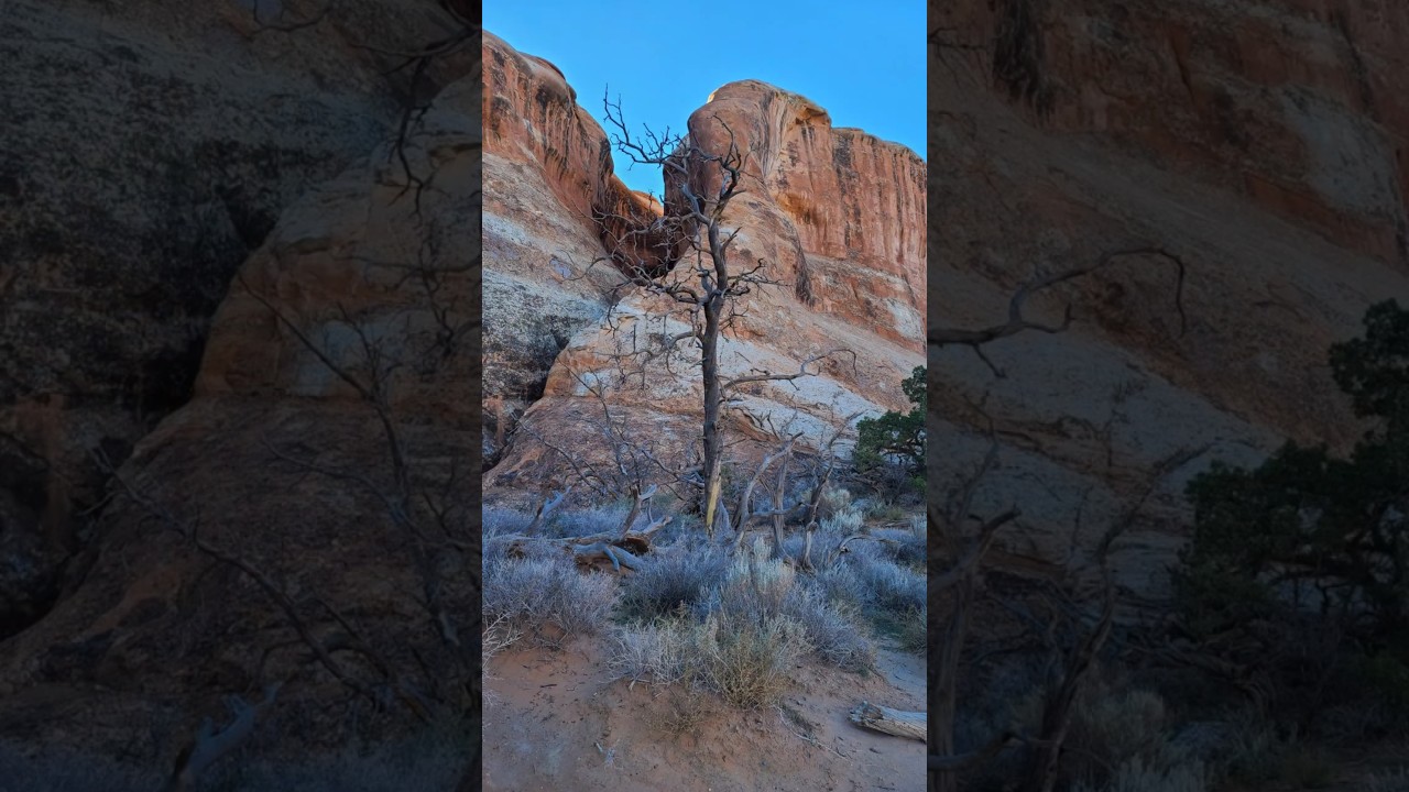 Devil's Garden in Arches National Park 🫶 