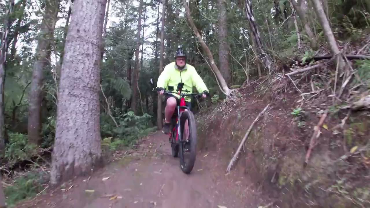 Redwoods Forest Loop (Whakarewarewa)
