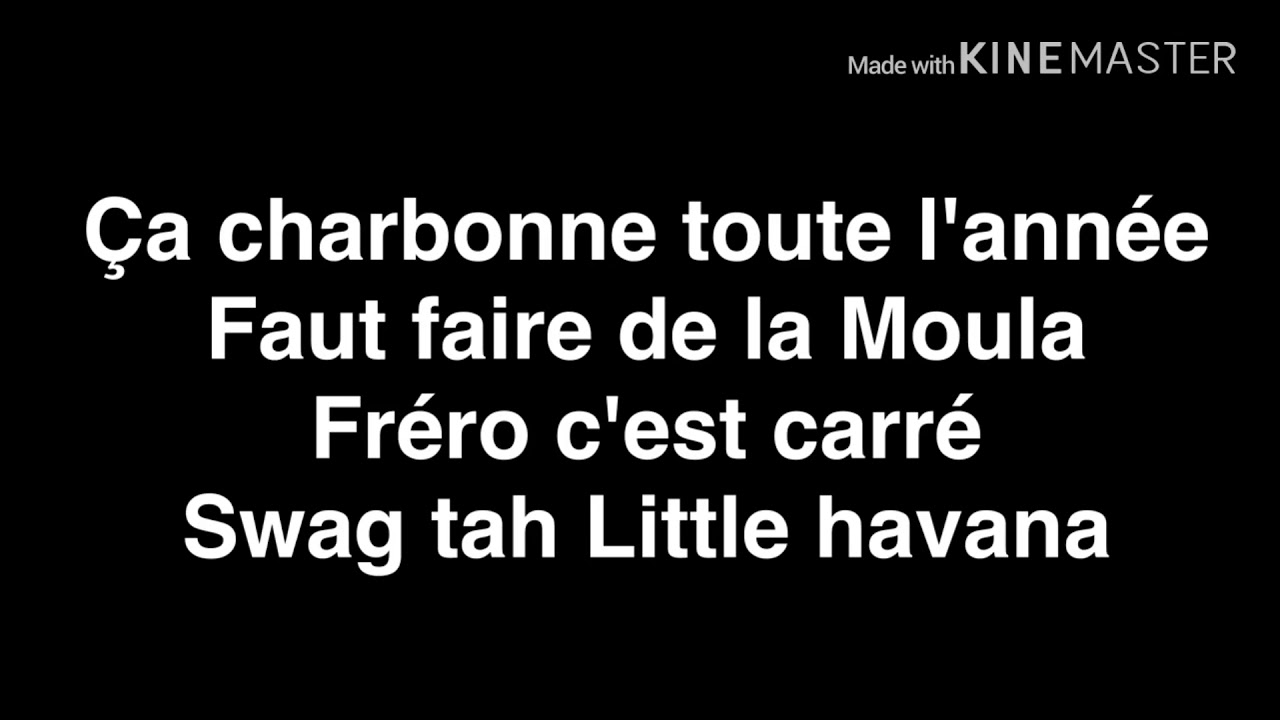 L&rsquo; Alg&eacute;rino - Mention Max [Paroles-Lyrics]