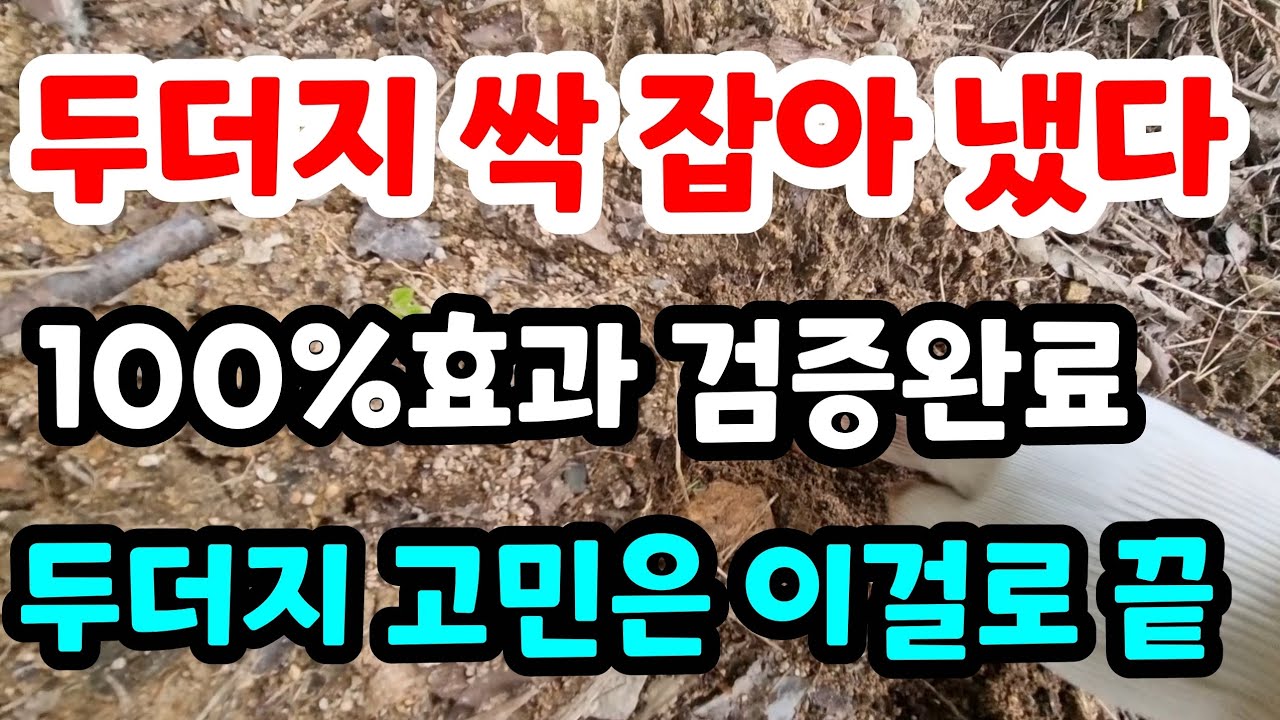 두더지잡기 이것 딱 한번으로 100%싹 잡아냈다#두더지퇴치법#두더지멸종시키는법#두더지쉽게없애는법#쥐잡는방법#두더지박멸#뱀퇴치#천연살충제#토양살충제#친환경#유기농#텃밭#시골