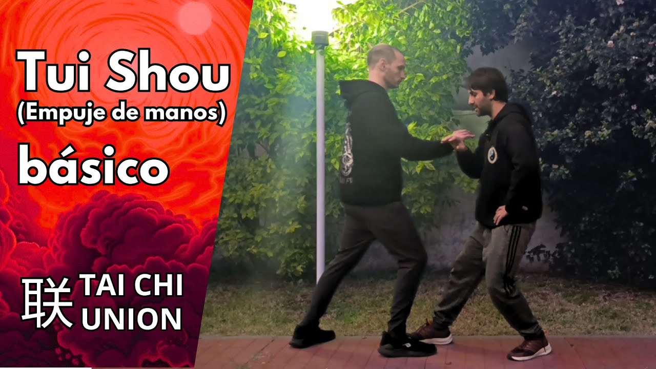 Ejercicios y patrones de Tui Shou para principiantes