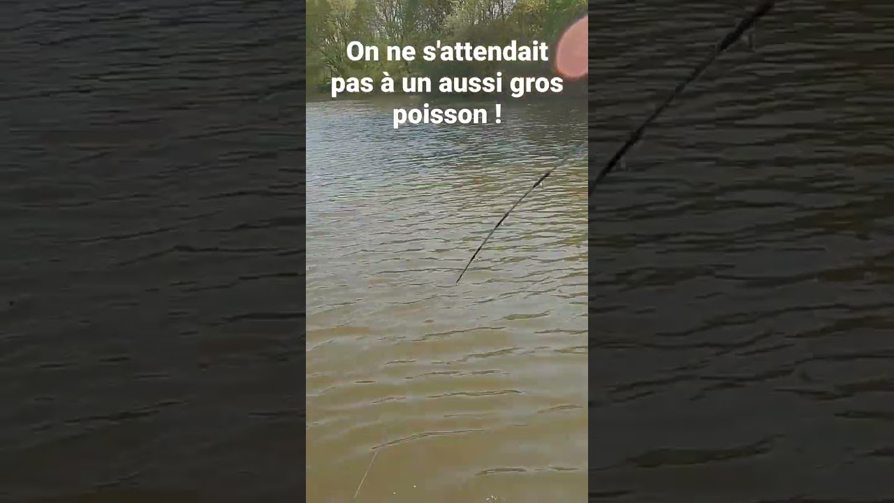 on ne s'attendait pas à un si gros poisson !