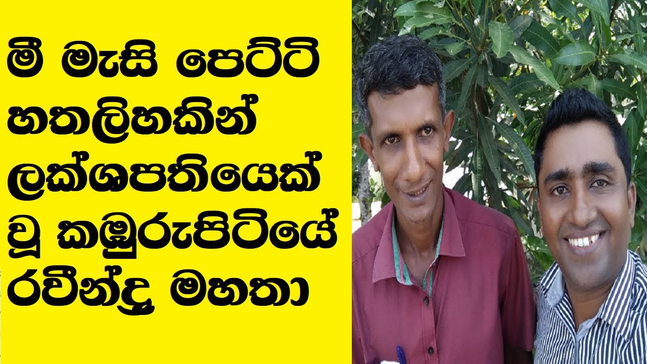 Beekeeping in Sri Lanka Interview with Commercial Beekeeper