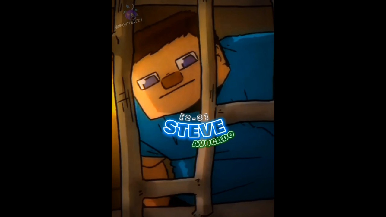 Steve vs Steve 