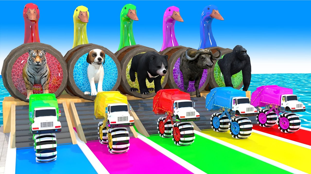 5 Giant Duck Cartoon,Cow,Elephant,Tiger,Lion,Dinosaur,Paint Wild Animals Crossing Fountain Animation