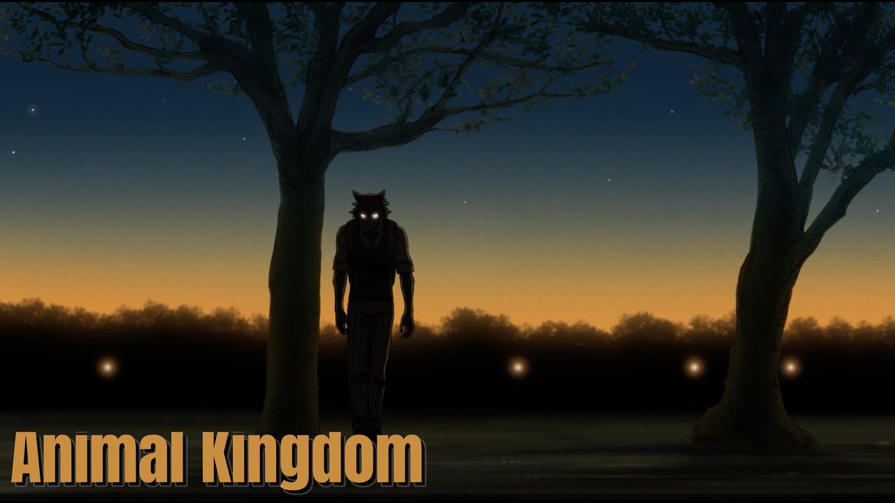 J. wiLL Be - Animal Kingdom
