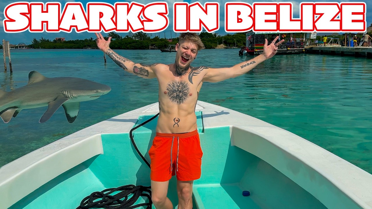 THE Most Amazing Snorkel In The World! Hol Chan Reserve, Belize.