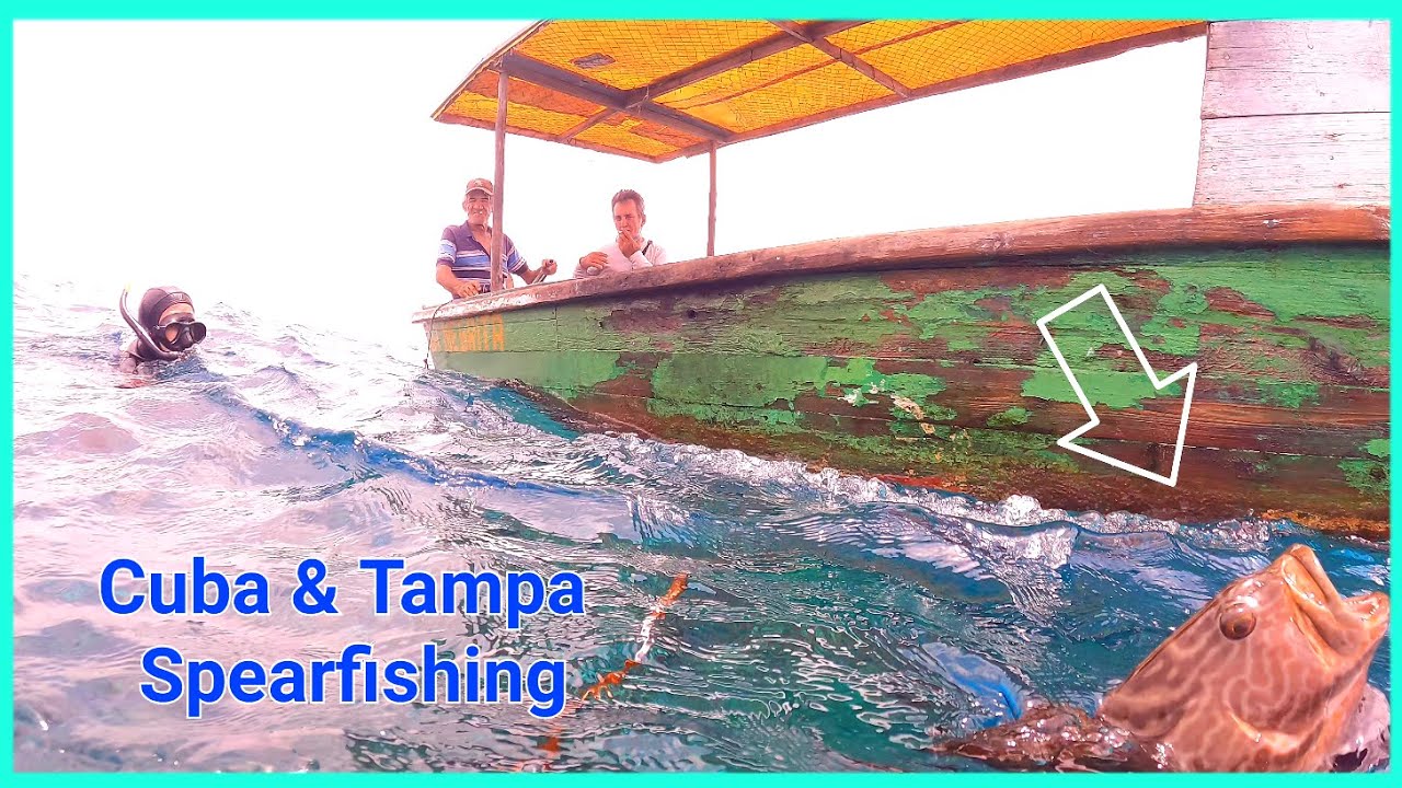 Cuba & Tampa Spearfishing - Cristal Clear Water