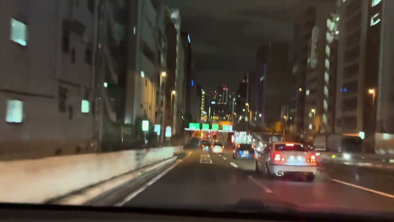 首都高速／錦糸町〜東品川付近…スカイツリーの帰路！隅田川夜景🌉