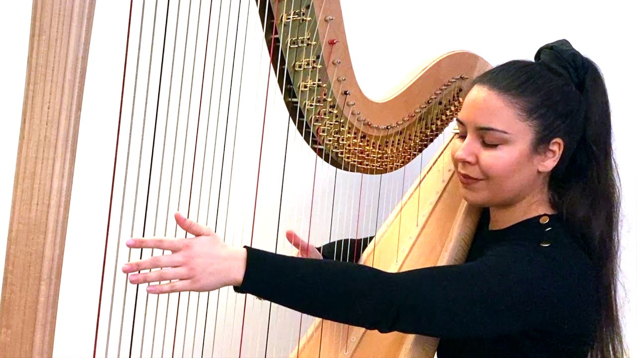 Hasselmans - Feuilles D'Automne, Serenade Mélancolique Op.45 // Harp, Zita Silva