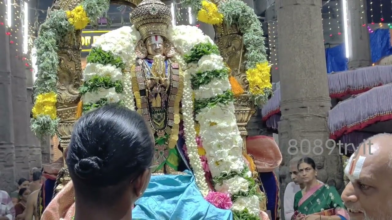 ஸ்ரீ.பார்த்தசாரதி பெருமாள்  தவன உத்ஸவம்நாள்-5  திருவல்லிக்கேணி சென்னை 2627/02/2026 @8089tryit
