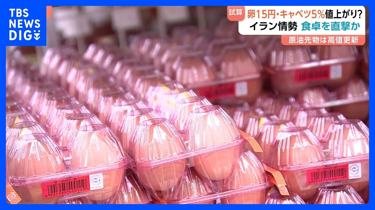 イラン情勢悪化で食卓に影響も…高騰続く卵は1パック15円↑キャベツは5%ほど値上がりの試算も｜TBS NEWS DIG