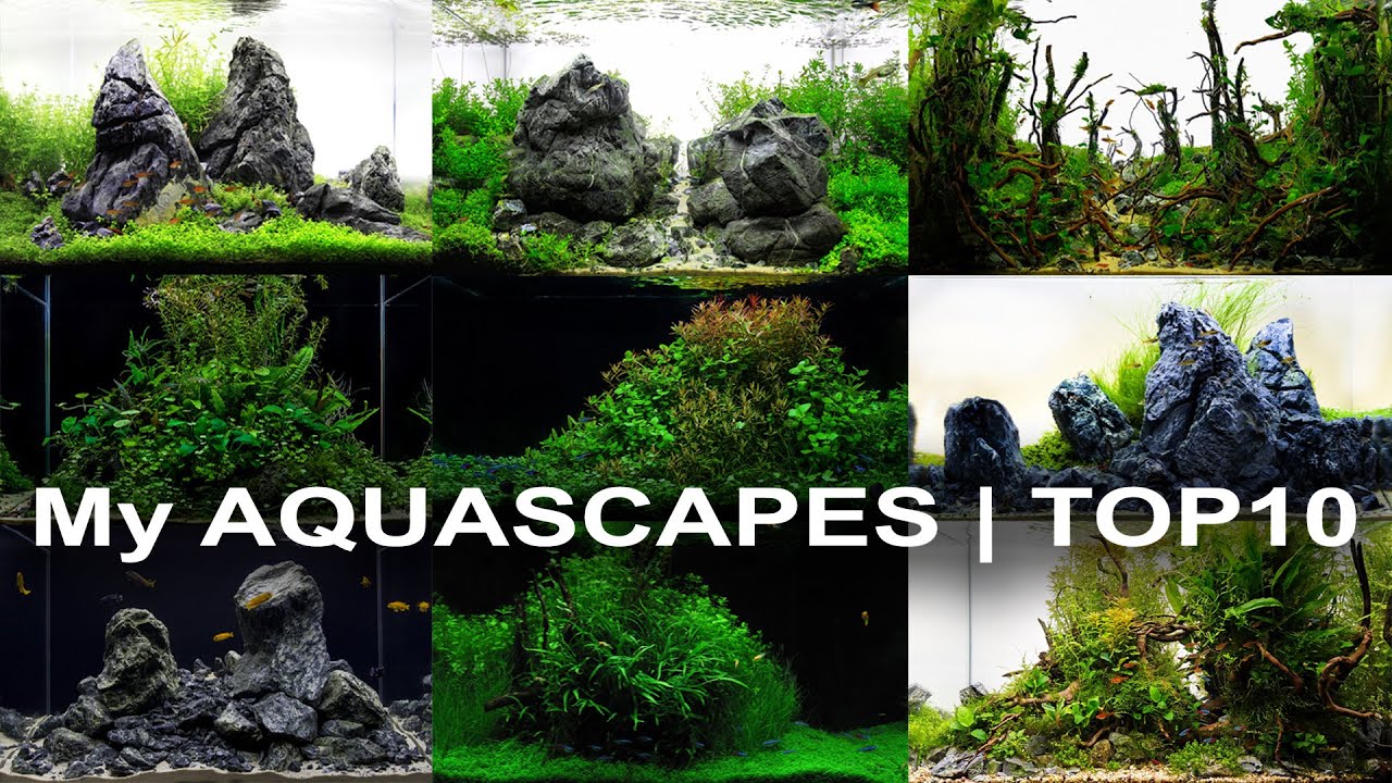100. TOP10 | Moje najlepsze aranżacje | My the best aquascapes