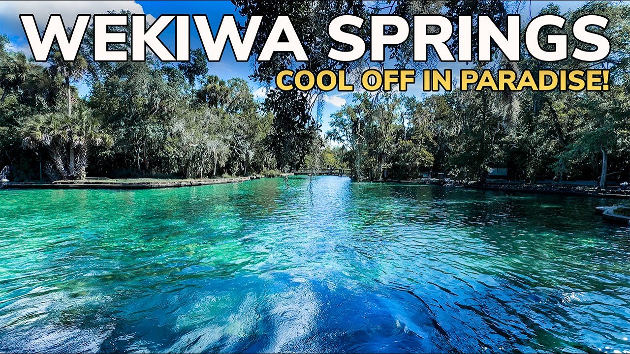 Wekiwa Springs: Discover a Hidden Oasis Near Orlando