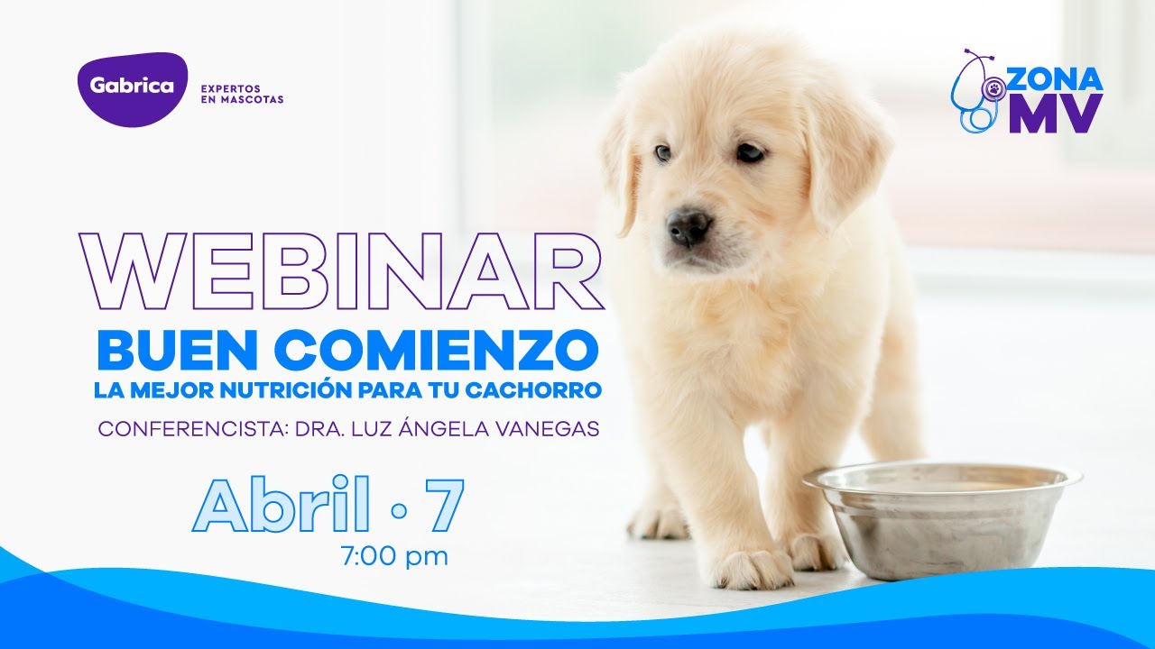 NUTRICIÓN EN CACHORROS