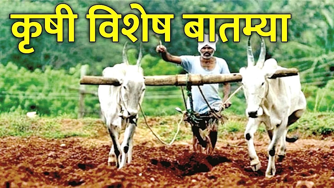 06 मार्च  2026 शेतकऱ्यांसाठी ठळक बातम्या | कर्जमाफी |कापूस भावPM योजना, pik vima| NEWS HEADLINES
