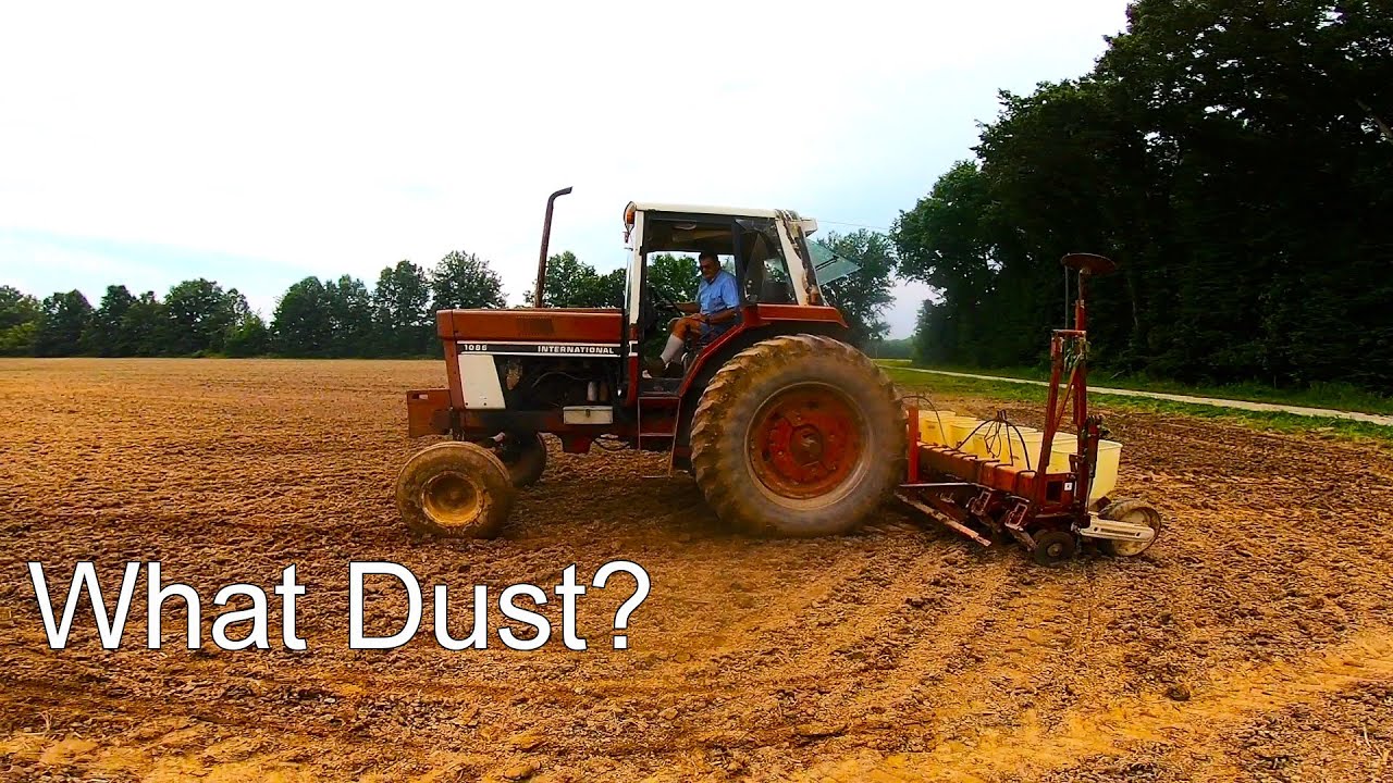 Would Have Bean Replant Beans Anyways