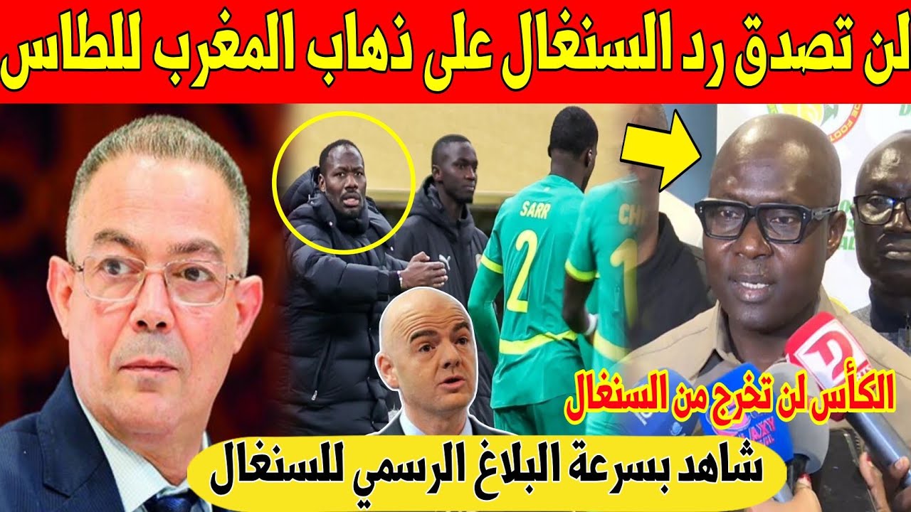 عاجل.. السنغال تصدم المغاربة بهذا الرد على الذهاب للمحكمة الدولية بعد فضيحة الانسحاب - شاهد 