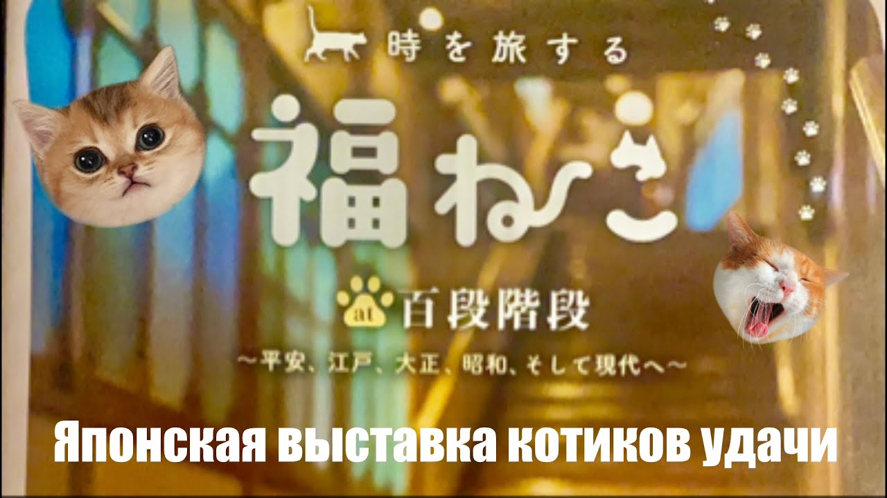 Выставка японских котиков удачи, подробно расскажу историю #жизньвяпонии 
