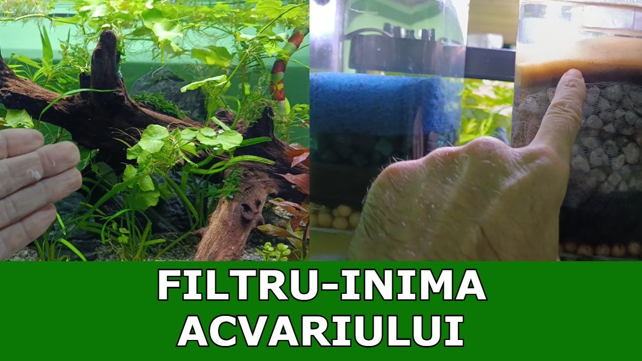 FILTRU EXTERN DIY-ACVARISTICA PENTRU ÎNCEPĂTORI
