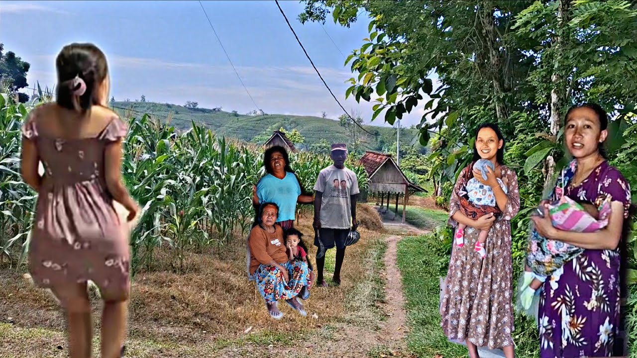 Agak Wass Waass‼️Cuma 7kk Rumah Mepet Jurang Pinggir Hutan,Pemandangan Indah Seperti Dalam Lukisan🥹🥹