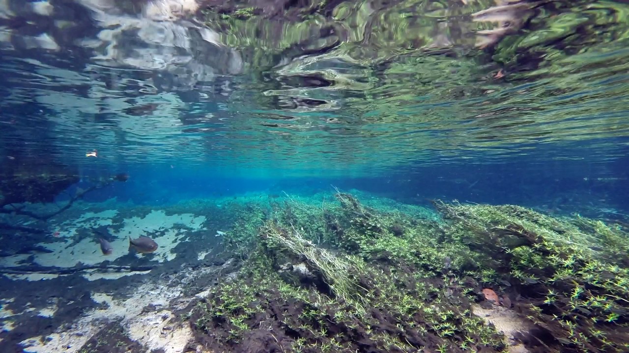 Rio Da Prata - biotope