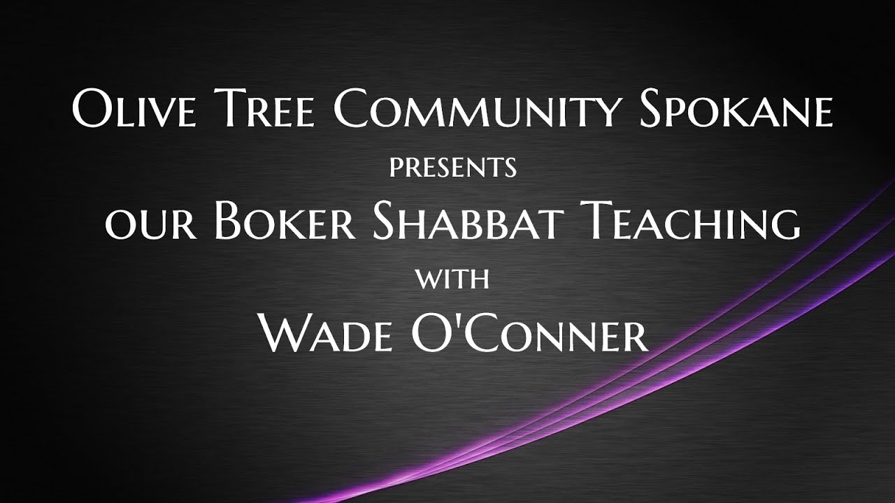 1/18/25 Main Teaching from Olive Tree Community Spokane with Wade O'Connor