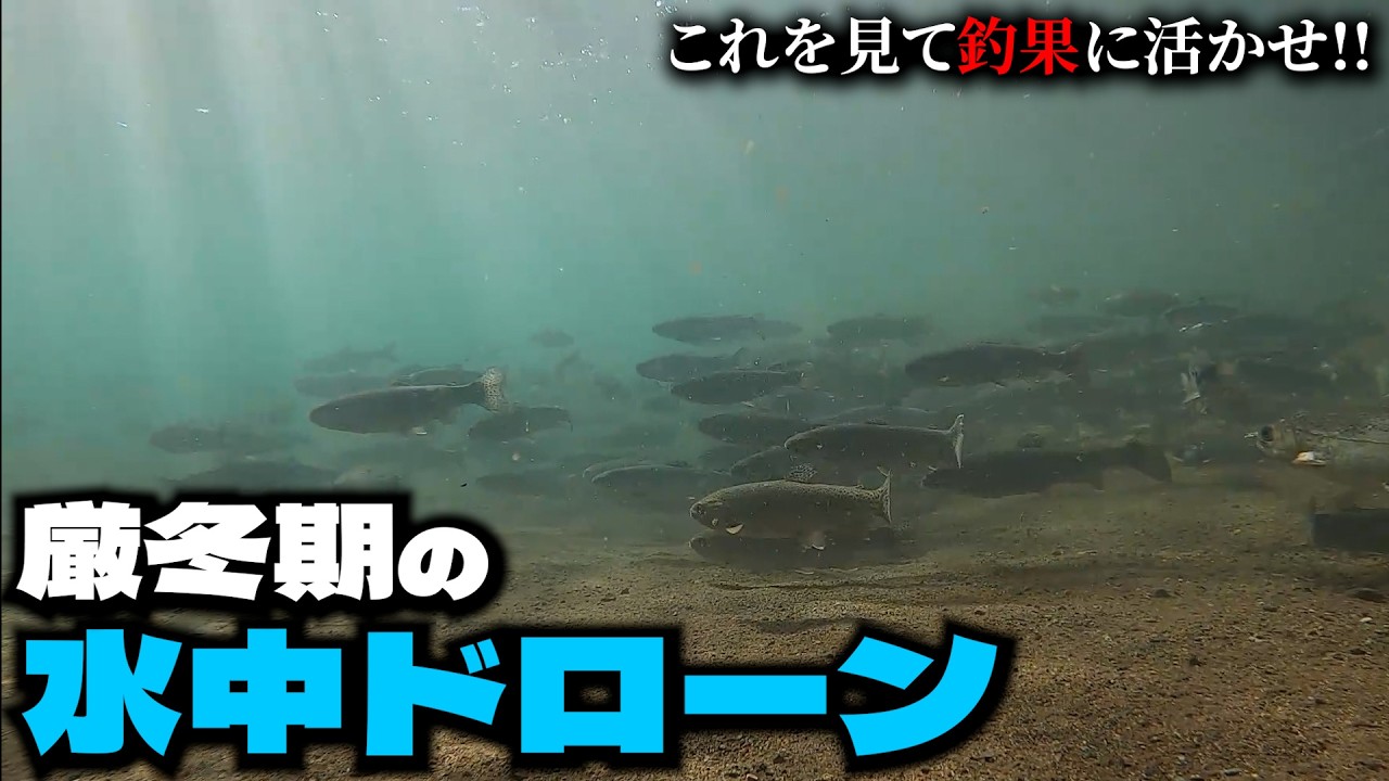 【水中ドローン】厳冬期のポンドの中を見てみた