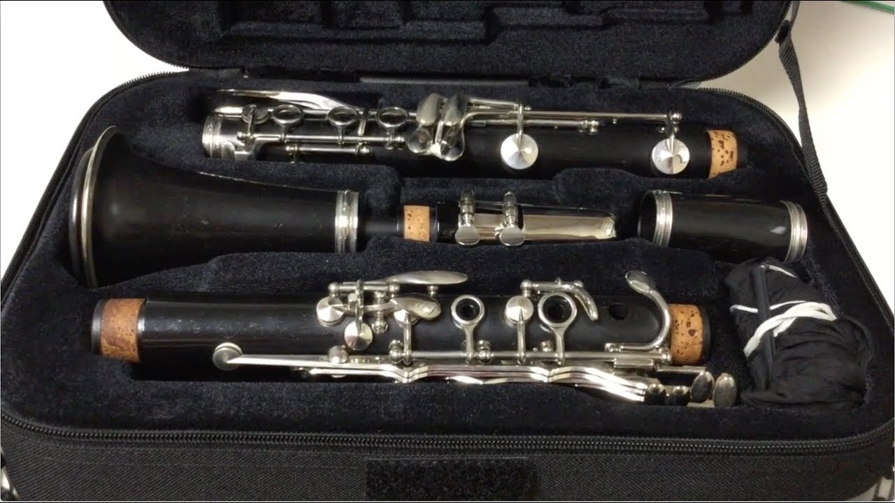 Review: Protec Max Clarinet Case
