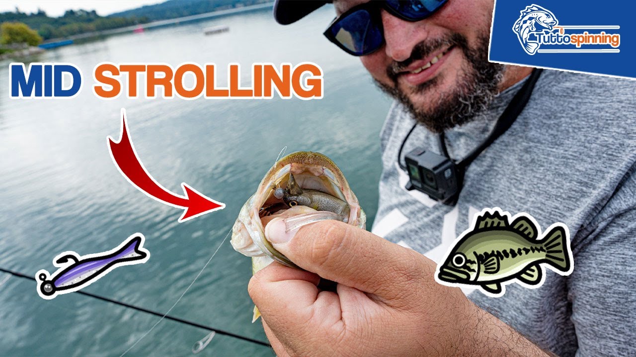 Tutto quello che devi sapere sul MID STROLLING 🎣 Guida pratica in pesca